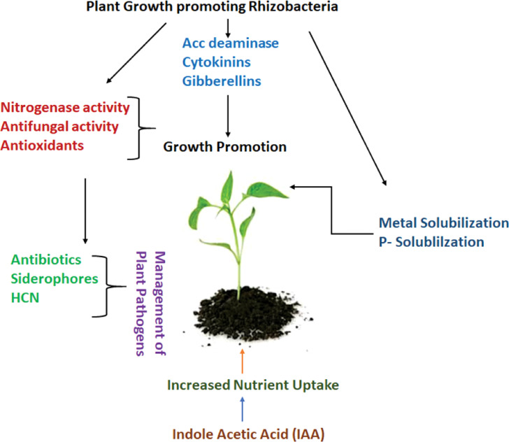 Figure 3