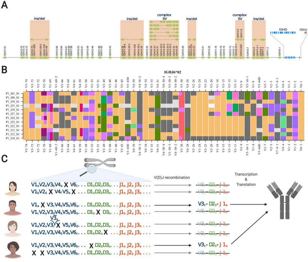 Figure 1: