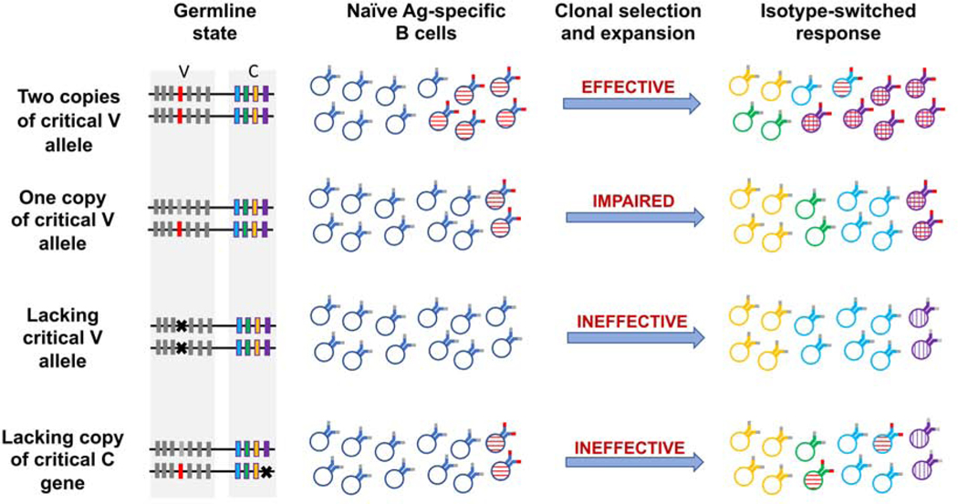 Figure 2: