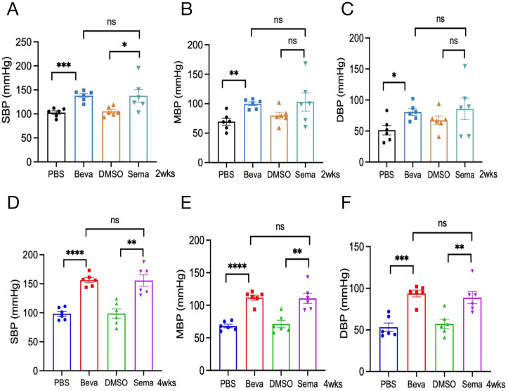 Figure 5