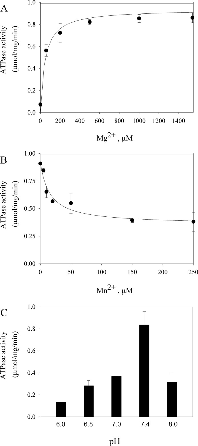 FIGURE 4.