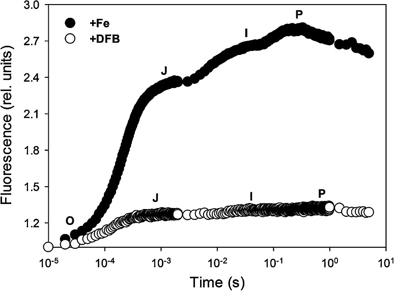 Fig. 1