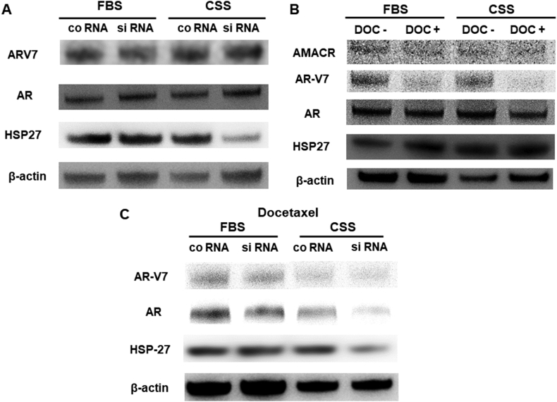 Fig. 7