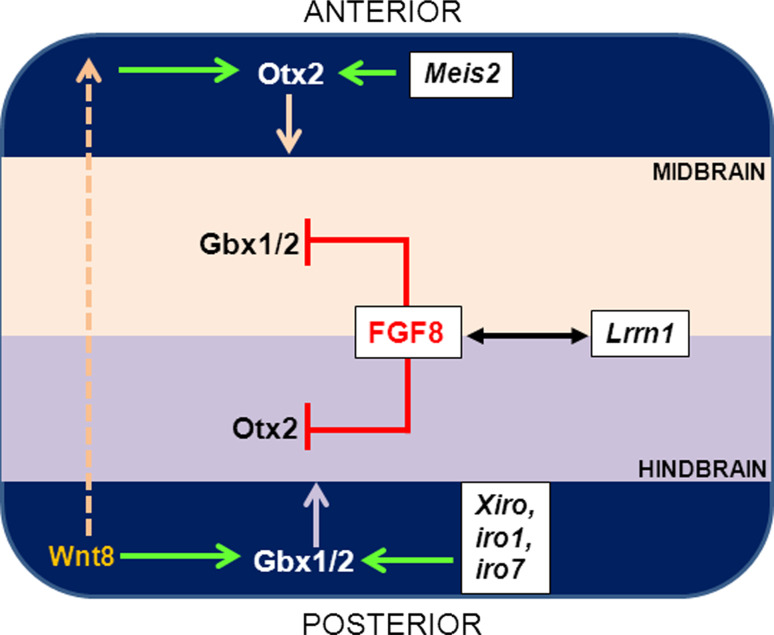 Fig. 1