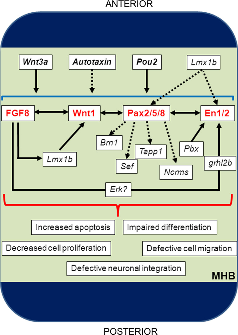 Fig. 3