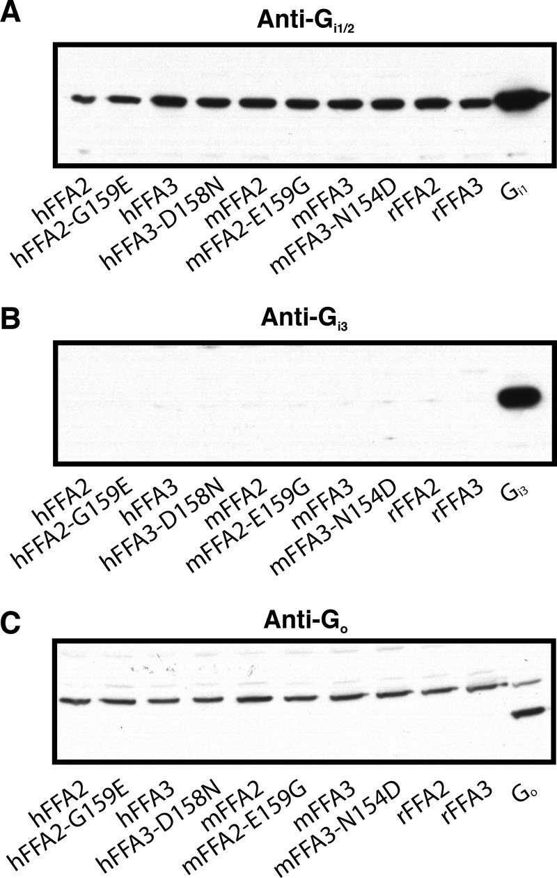 FIGURE 9.