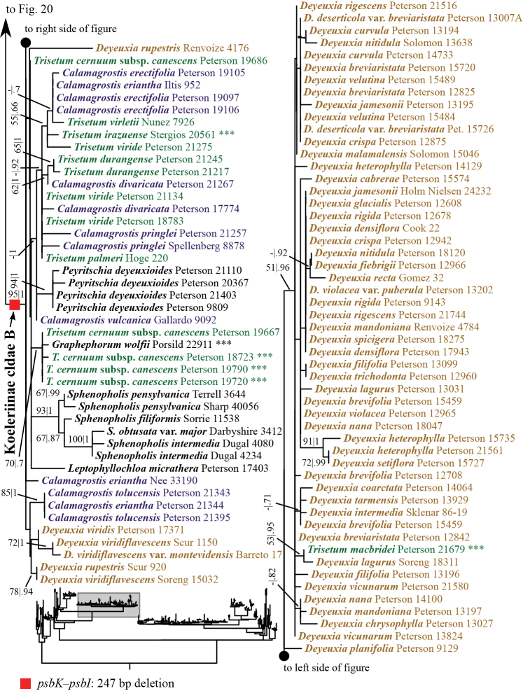 Figure 21.