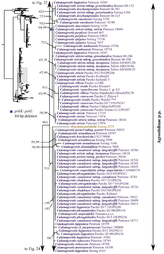 Figure 23.