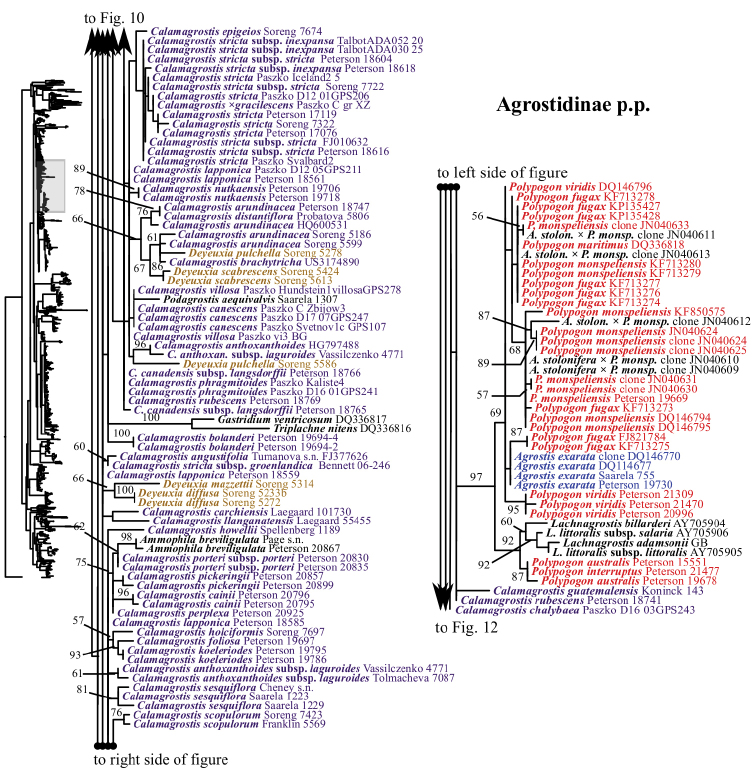 Figure 11.