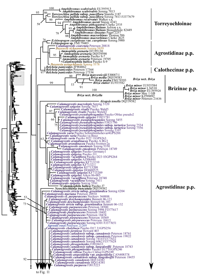 Figure 10.