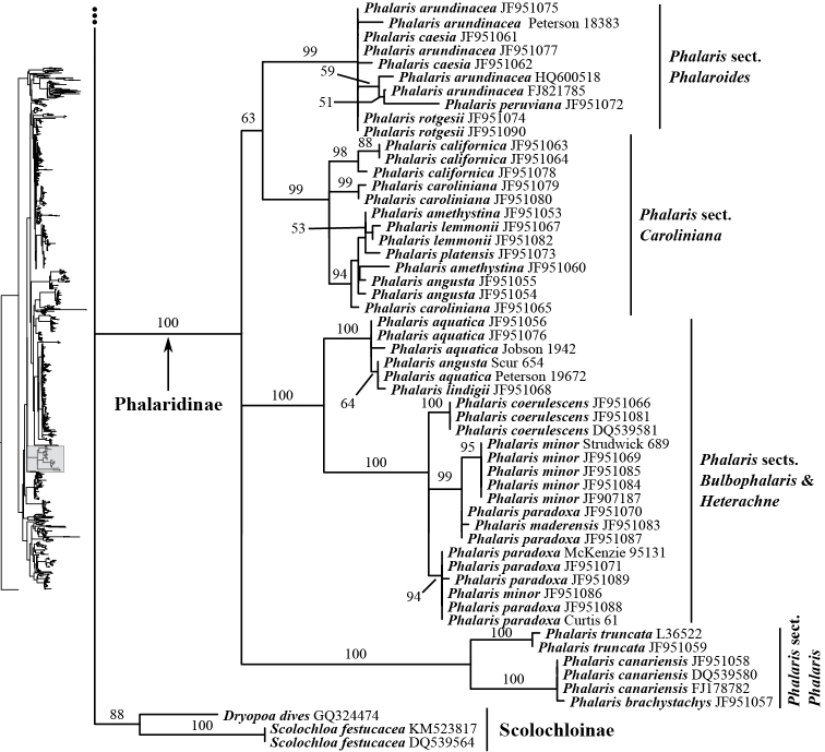 Figure 17.