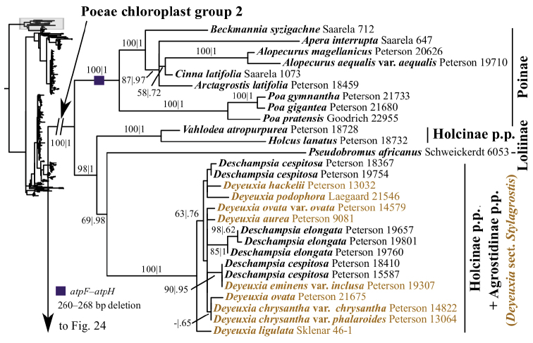 Figure 19.