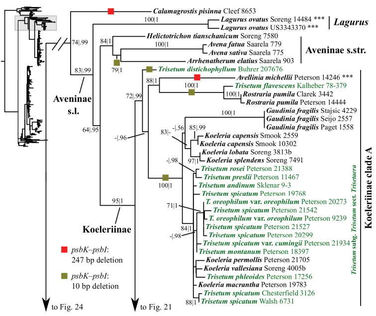 Figure 20.