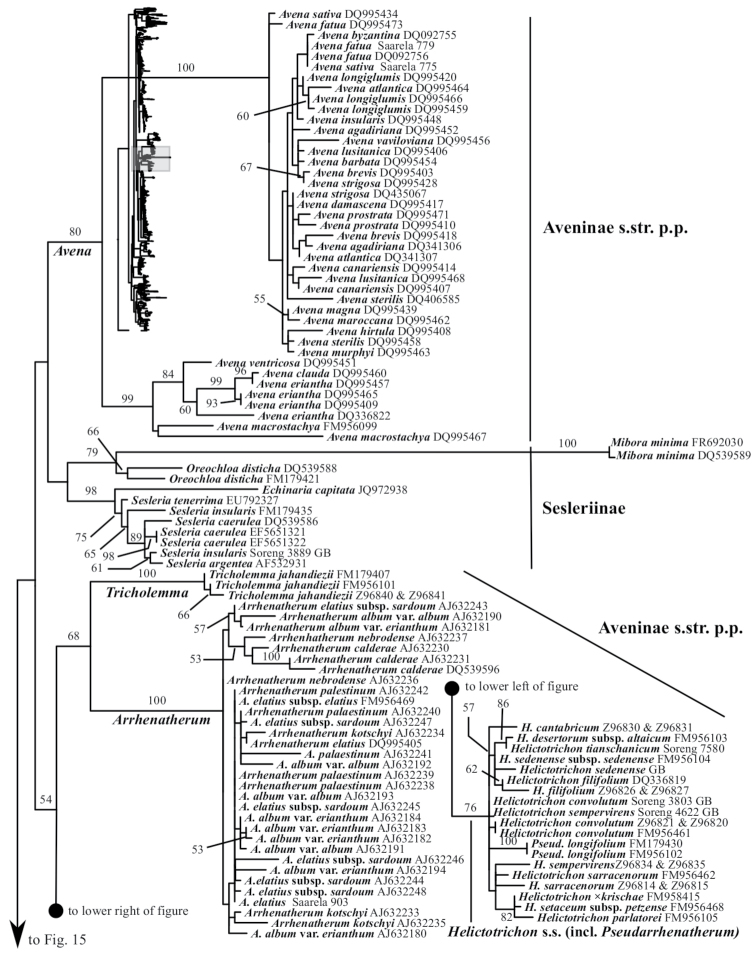 Figure 14.