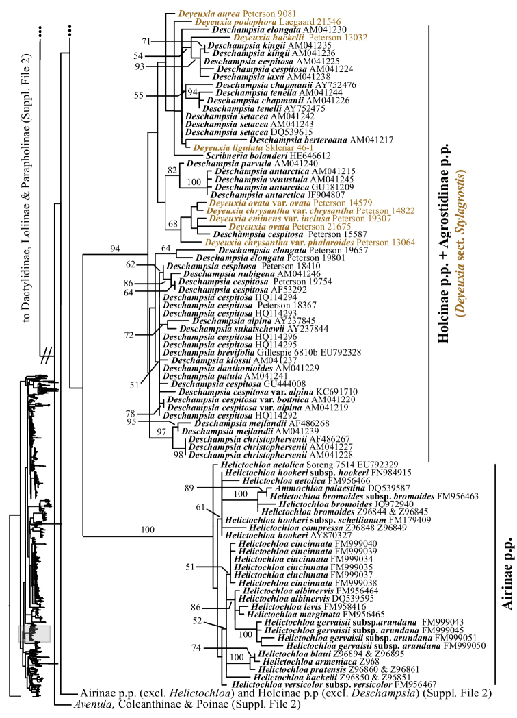 Figure 18.