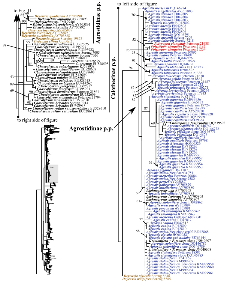 Figure 12.