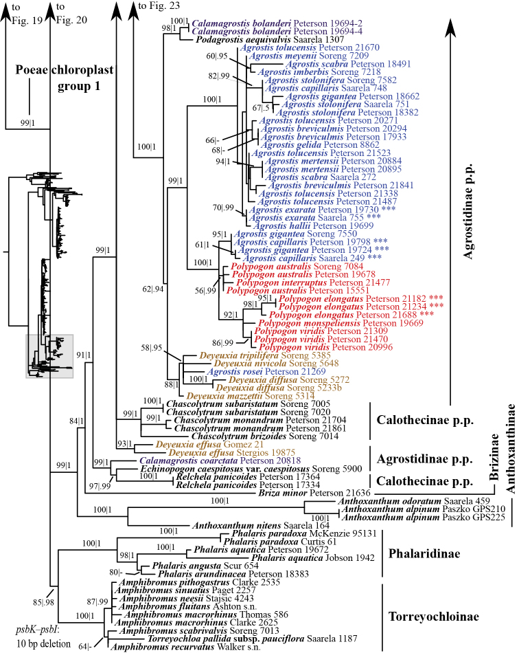 Figure 24.