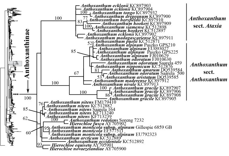 Figure 13.