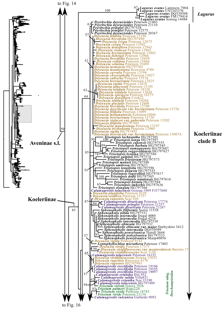 Figure 15.