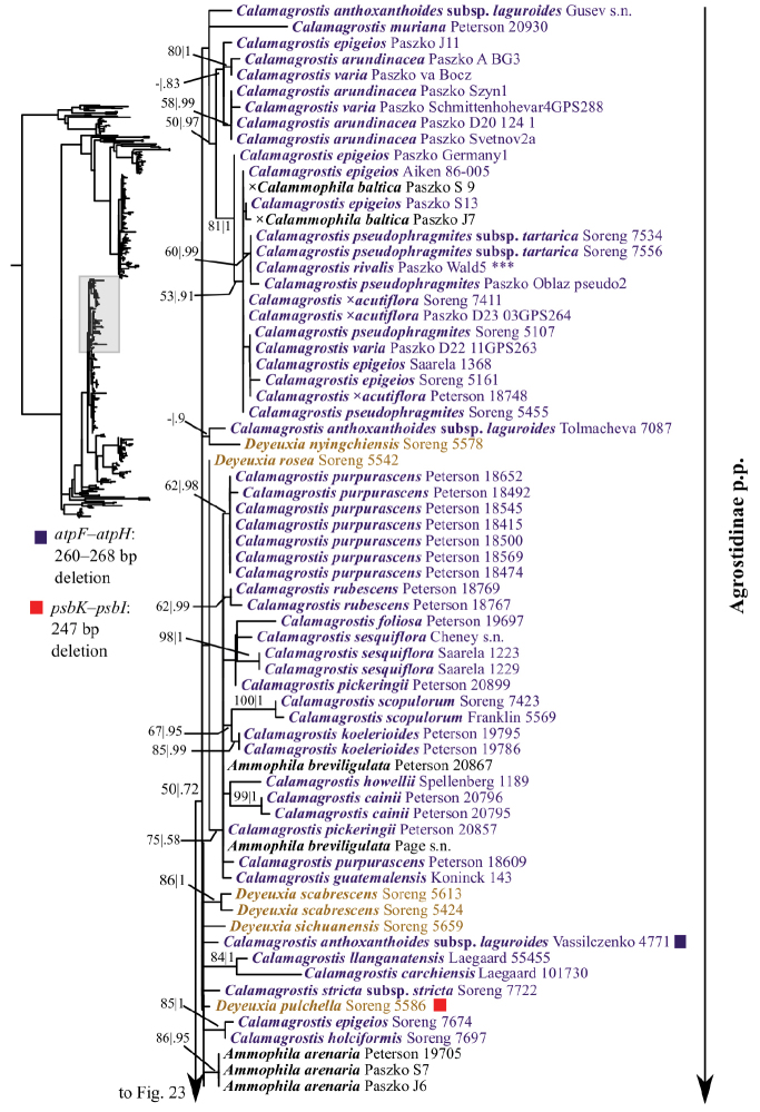 Figure 22.