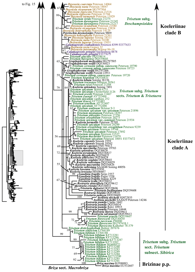 Figure 16.