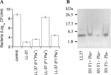 FIG. 7.