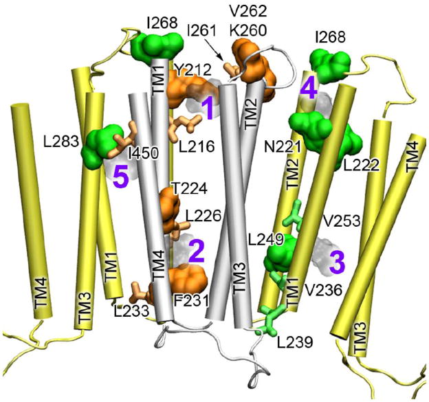 Fig. 2