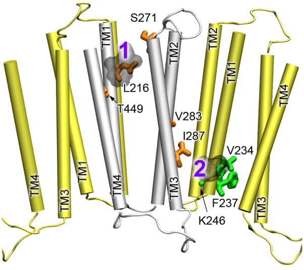 Fig. 4