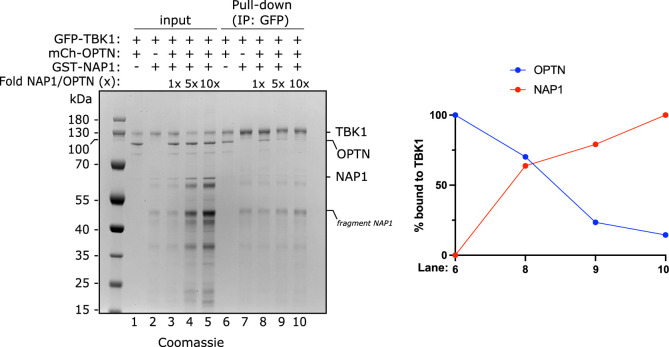 Extended Data Fig. 5