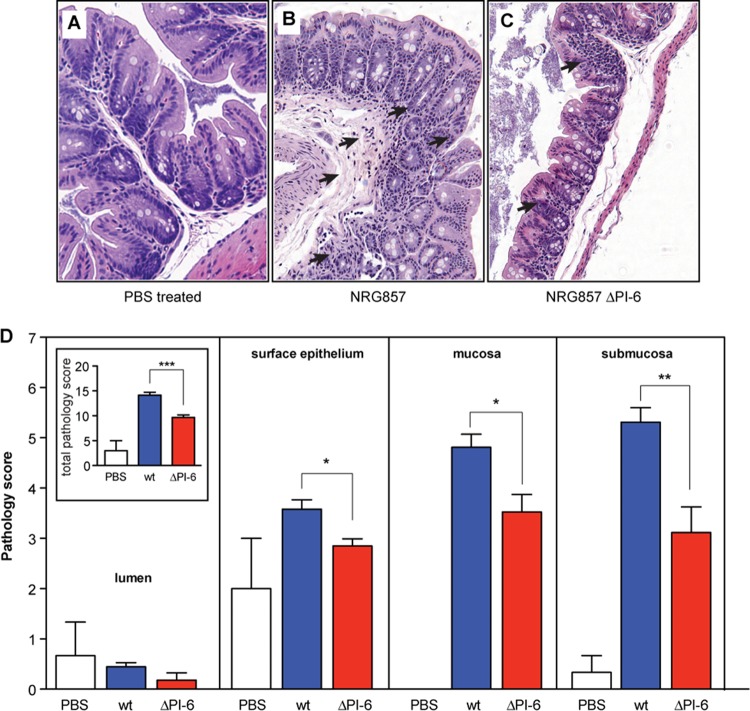 FIG 6