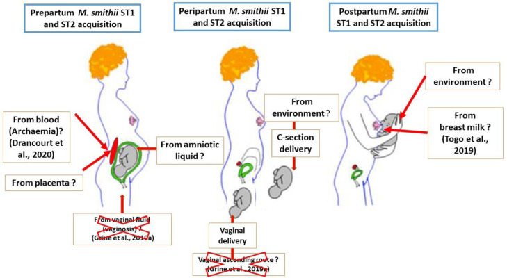 Fig 3