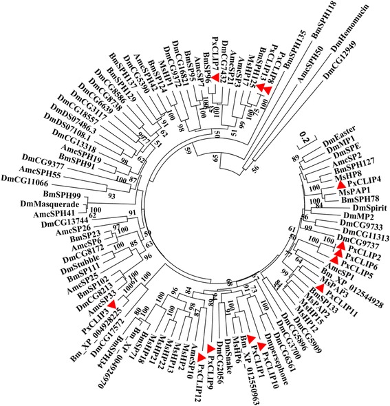 Fig. 4