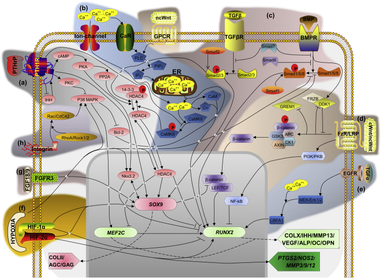 Figure 3