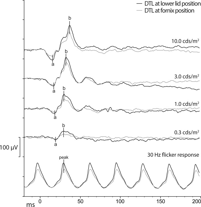 Fig. 2