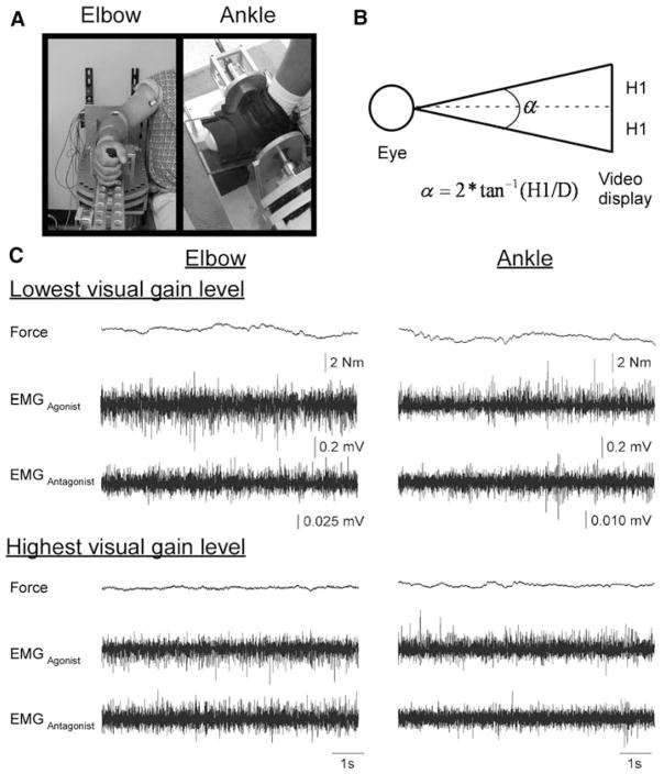 Fig. 1