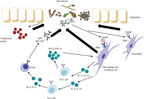 Figure 2.