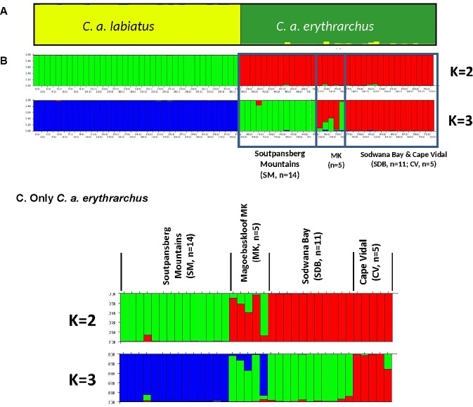 Fig 4