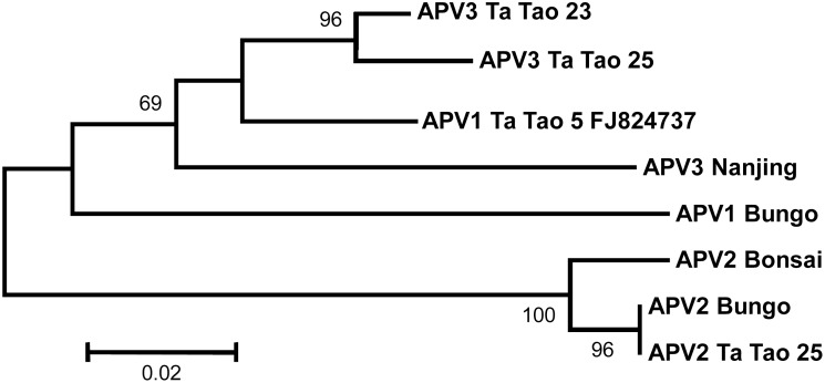 Fig 5