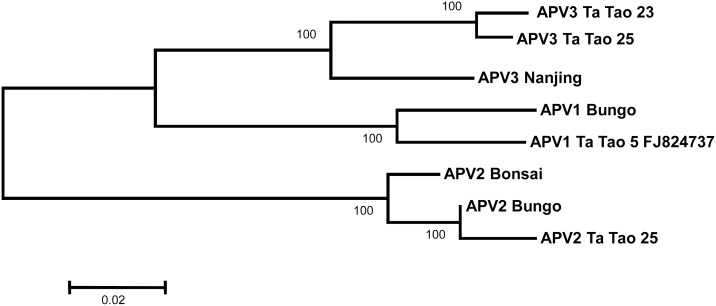 Fig 3