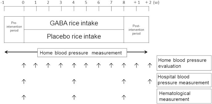 Fig. 1