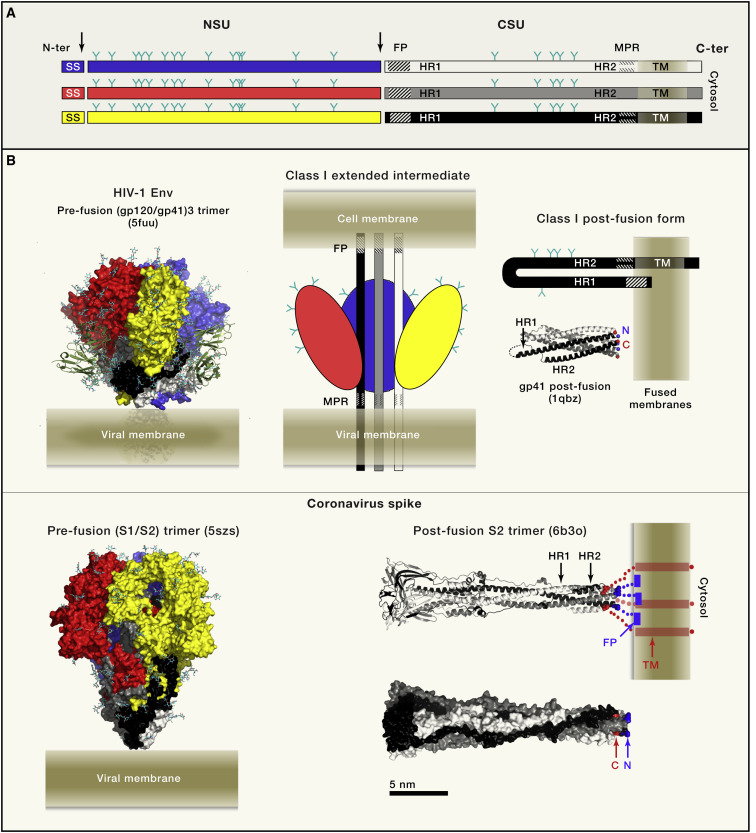 Figure 1