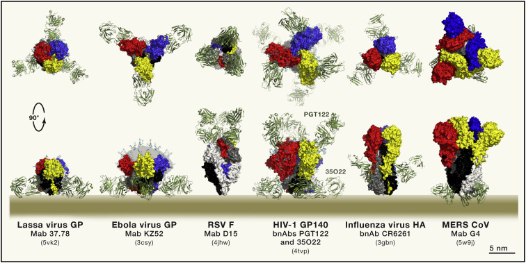 Figure 2