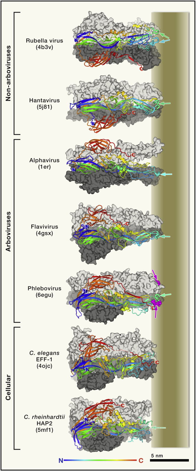 Figure 4