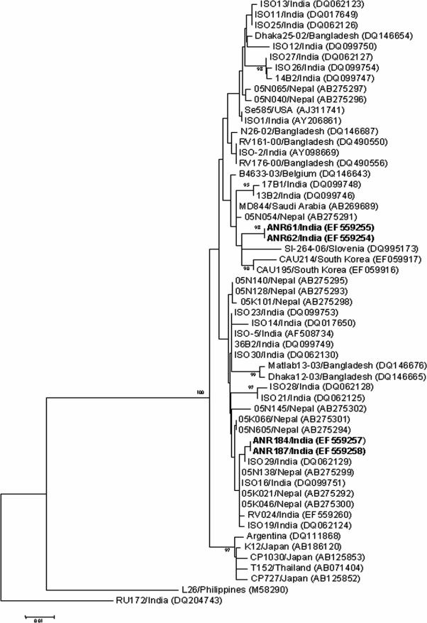 FIG. 2.