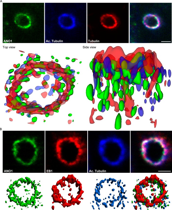 FIGURE 6: