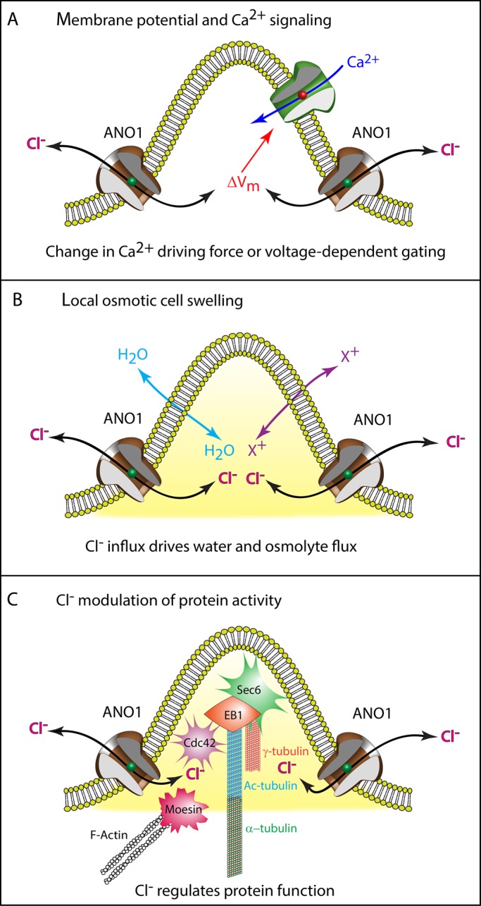 FIGURE 10: