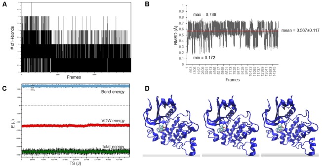 FIGURE 2