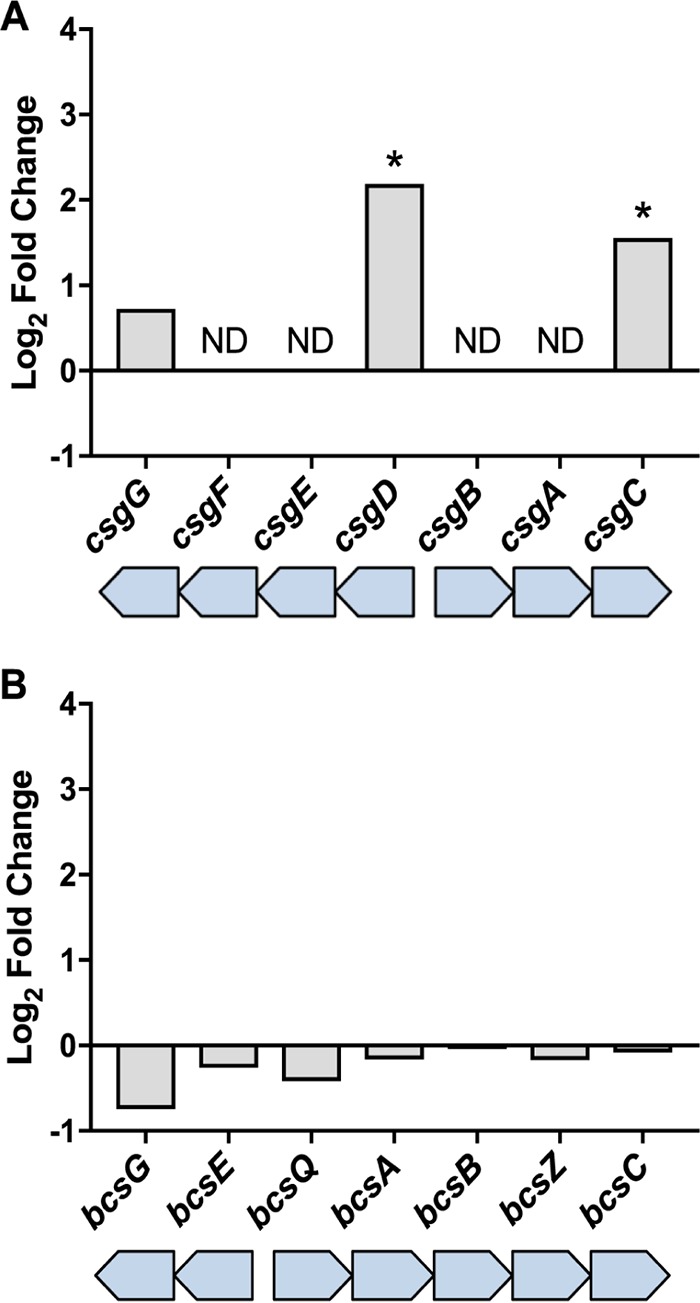 FIG 5 