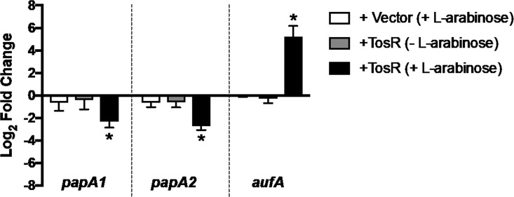 FIG 4 