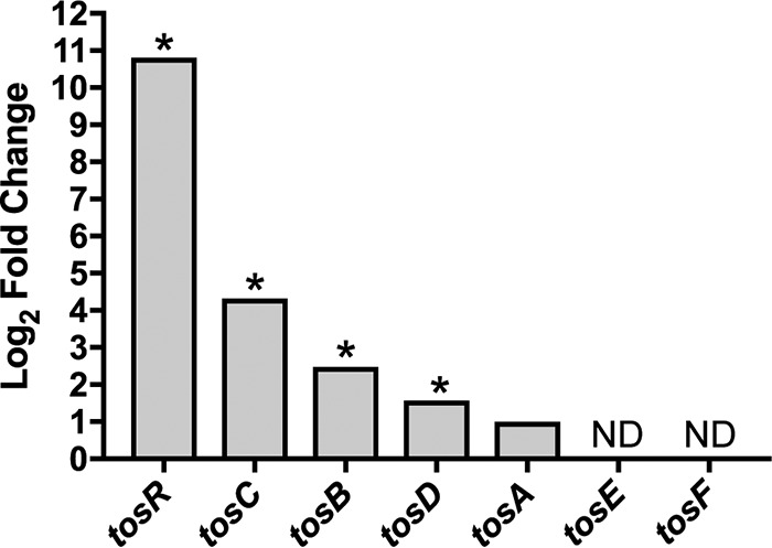 FIG 2 